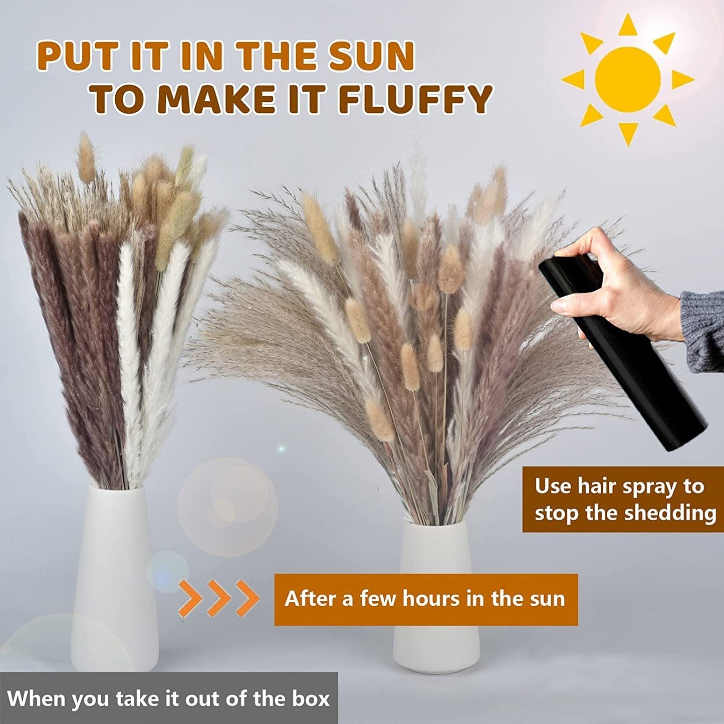 Fluffy Natural Plant Decor