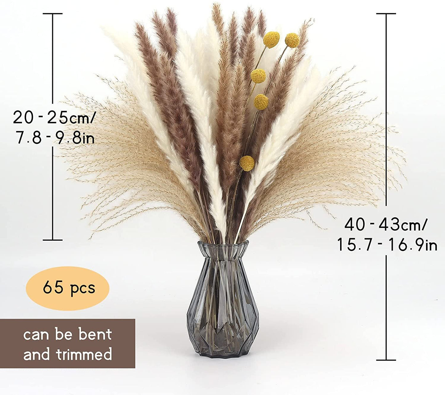 Munskine Fluffy Dried Pompous Grass
